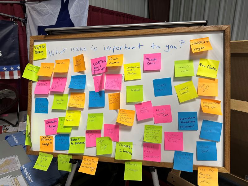 Sticky notes of answers to "What issue is important to you?"