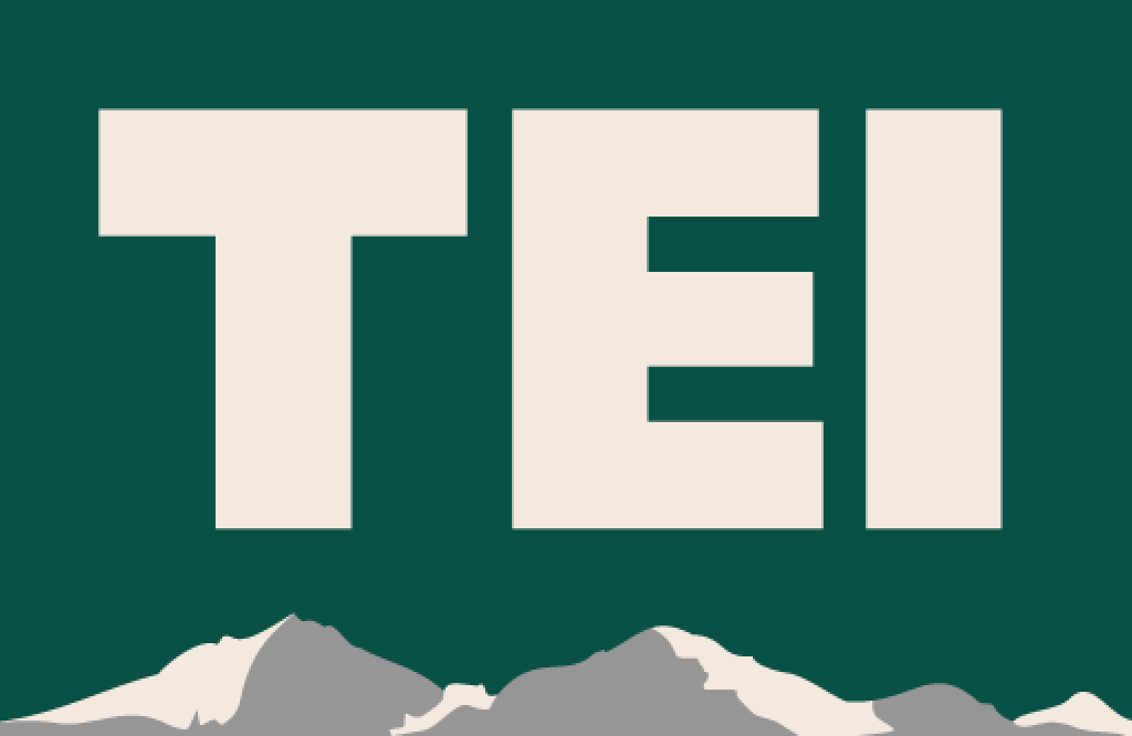 TEI