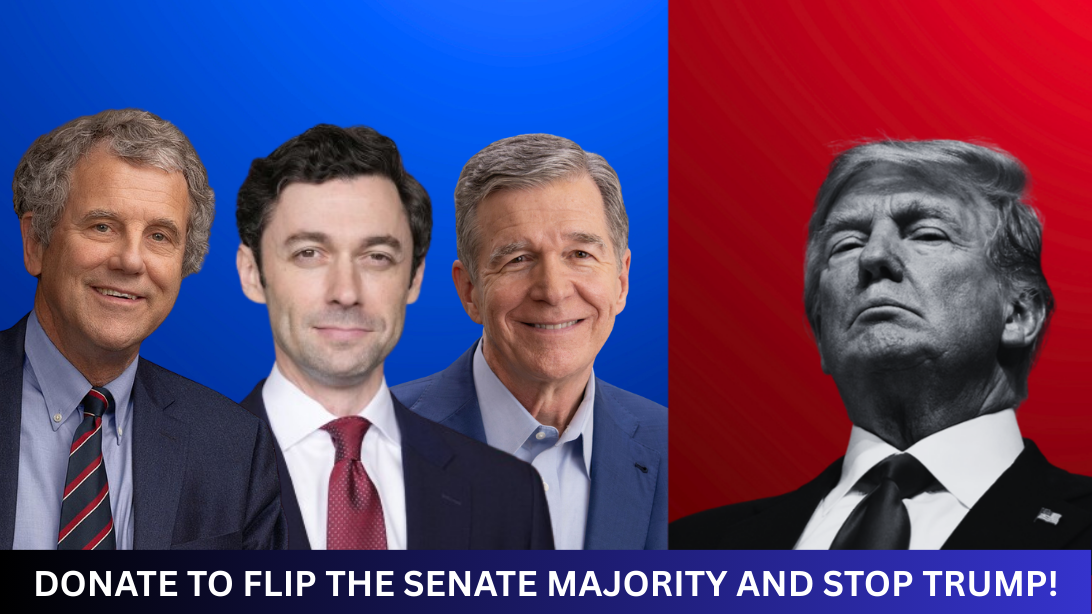 Help flip the Senate blue