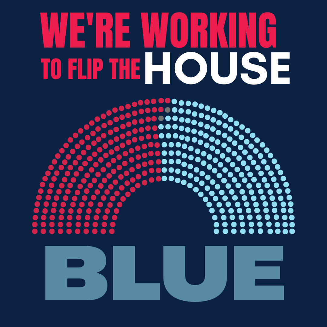 House majority chart (razor-thin)