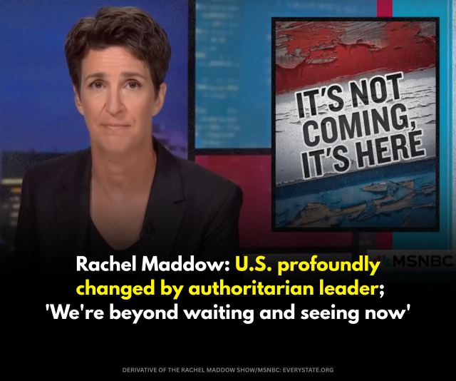 Stand with Rachel Maddow