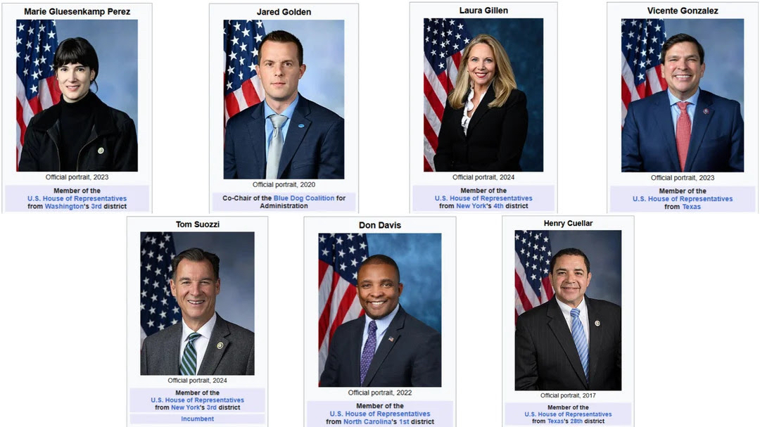 Dems who approved ICE funds