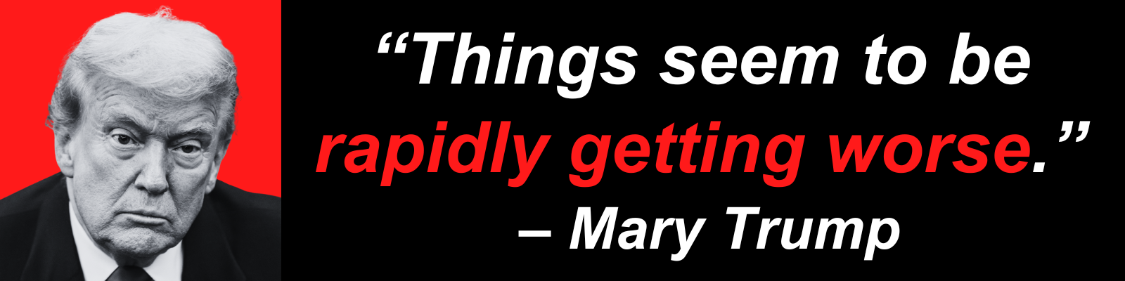 'Things seem to be rapidly getting worse.' -Mary Trump