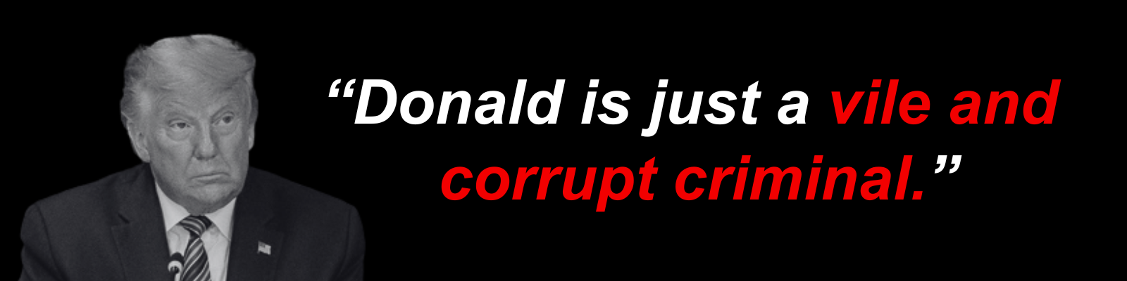 Donald is just a vile and corrupt criminal