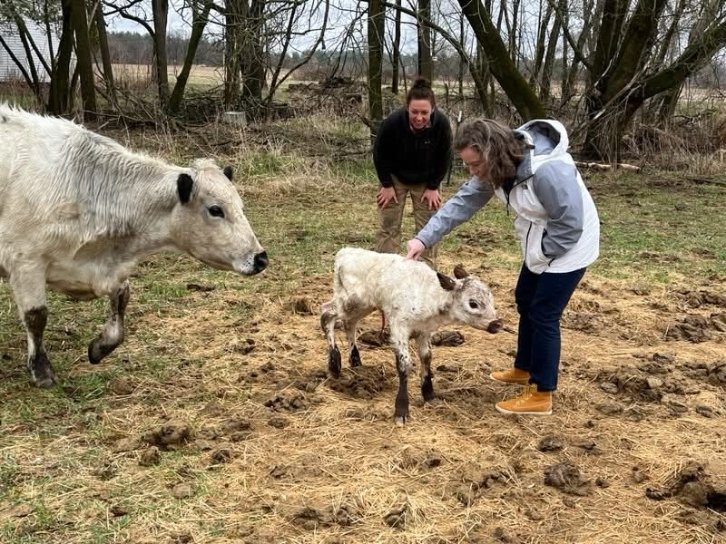 Sara Rodriguez with new calf, Marveline.